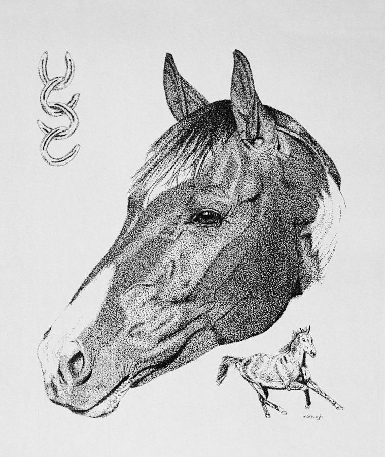 Equine Profile Drawing by Hazy Apple