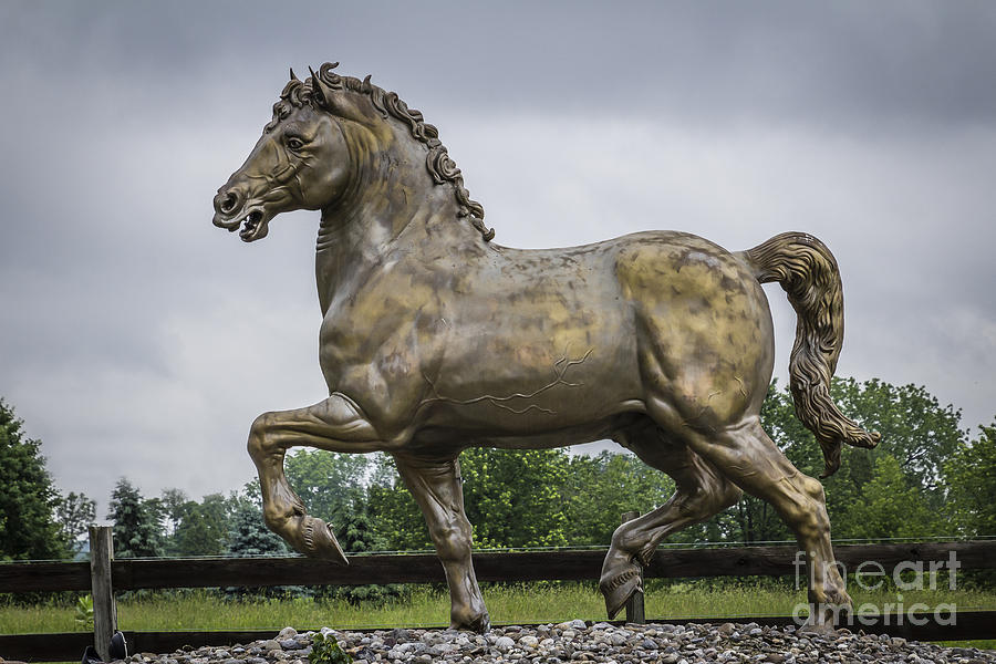 Equine Sculpture Photograph by Joann Long