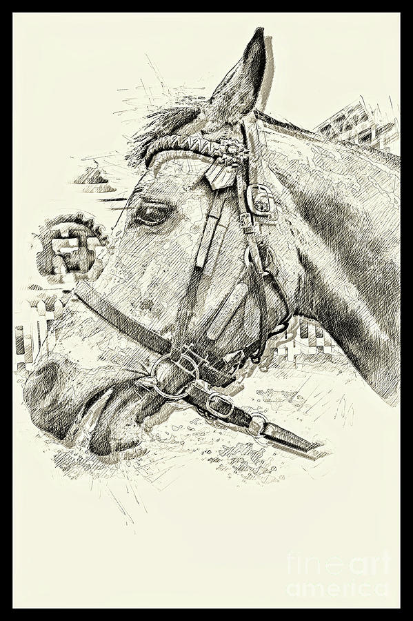 Equine Sketch Newmarket I Photograph by Jack Torcello