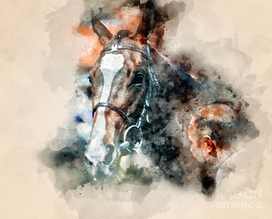 Equine Watercolour I Photograph by Jack Torcello