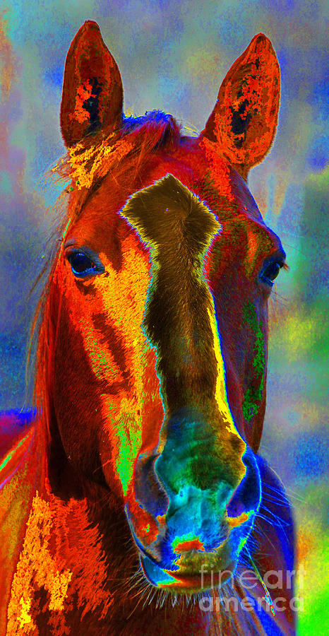 Equus Painting by Diane E Berry