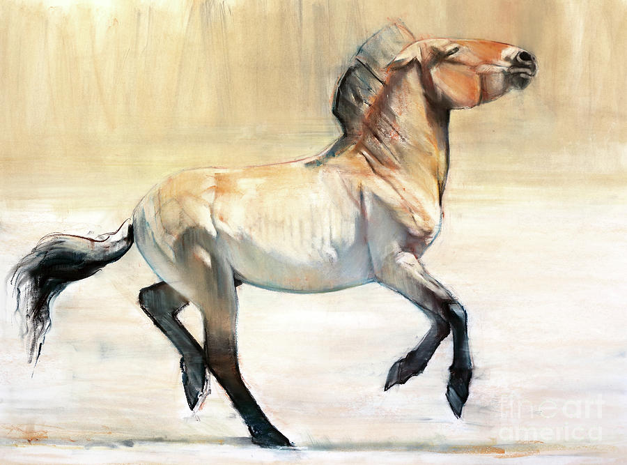 Horse Pastel - Equus  by Mark Adlington