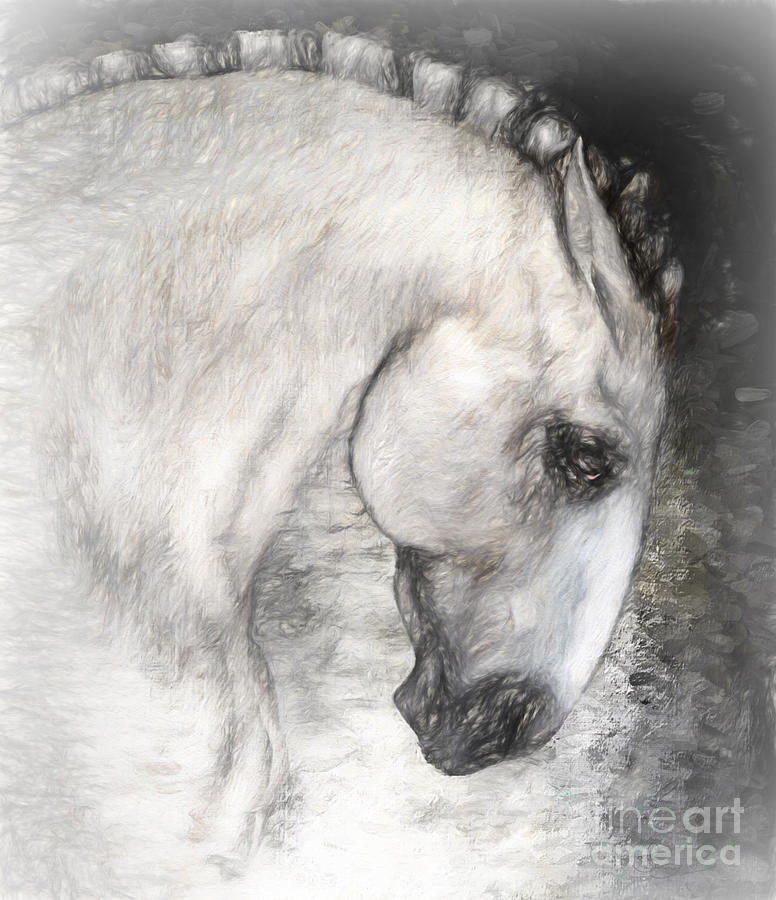 Equus Painting by Shanina Conway