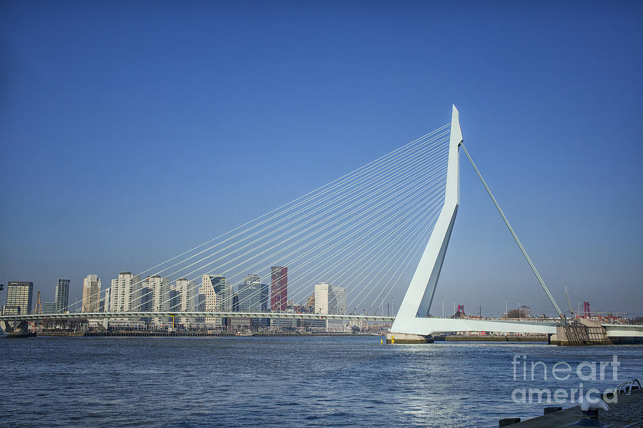 Modern Erasmus bridge in Rotterdam the Netherlands, Europe Photograph by Patricia Hofmeester