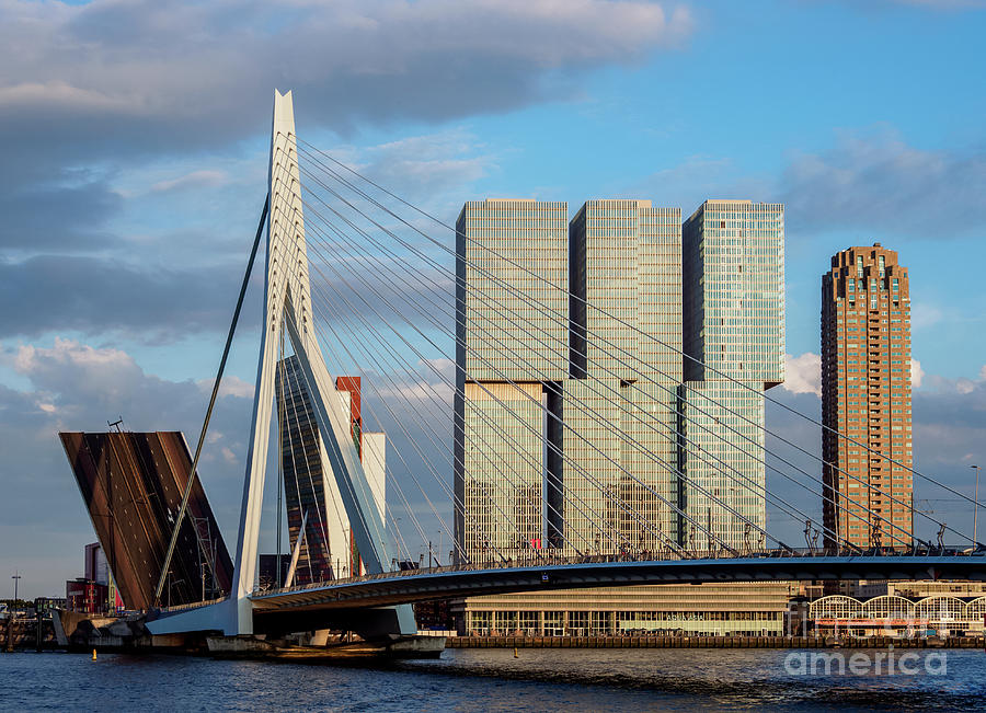 Erasmus Bridge, Rotterdam, The Netherlands Photograph by Karol Kozlowski