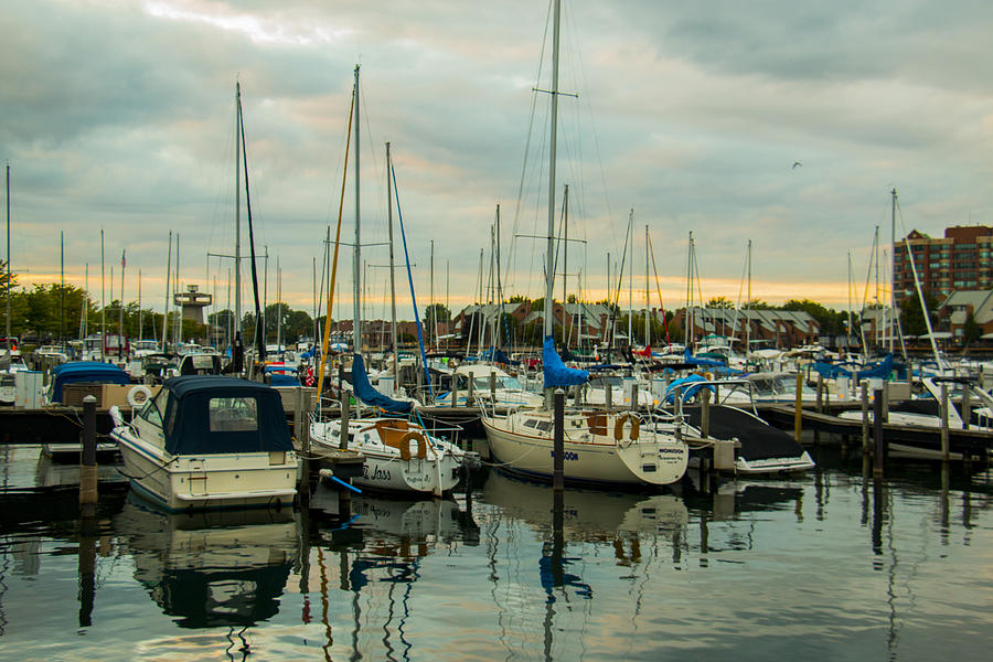 Erie Basin Marina Photograph by Shane Phillips - Fine Art America