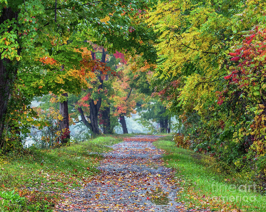 Erie Canal in Fall Photograph by Phil Spitze