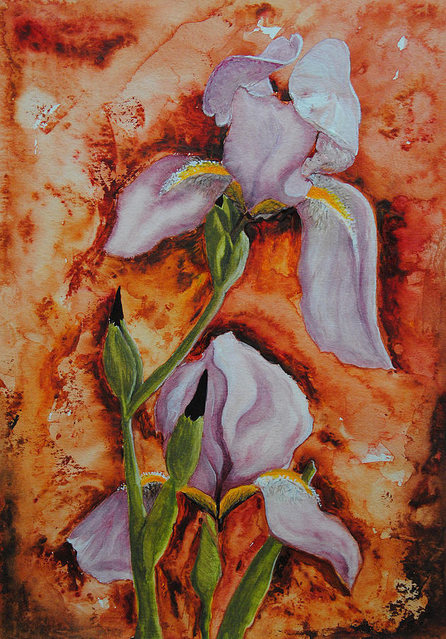 Erie Irises Painting by Vallee Johnson