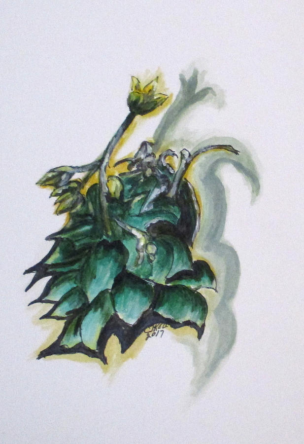 Erikas Spring Plant Painting by Clyde J Kell