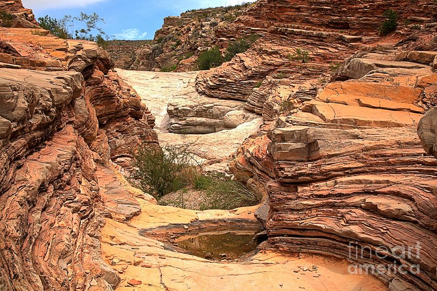 Ernst Tinaja Desert Canyon Photograph by Adam Jewell