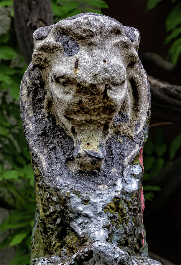 Eroded Lion Sculpture Photograph by Robert Ullmann