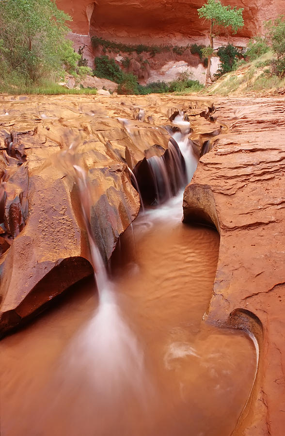 Eroded Streambed, Coyote Gulch Photograph by Douglas Pulsipher