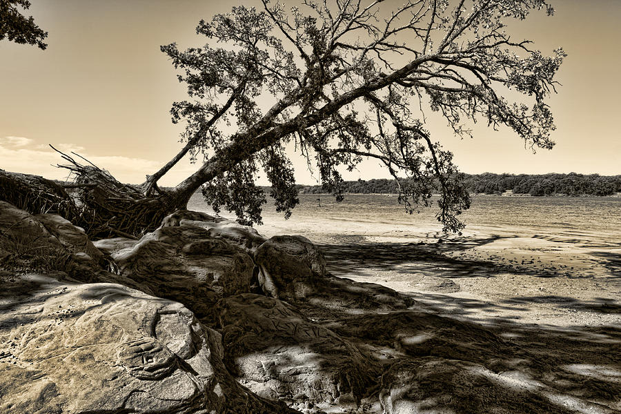 Erosion - Anselized Photograph by Ricky Barnard