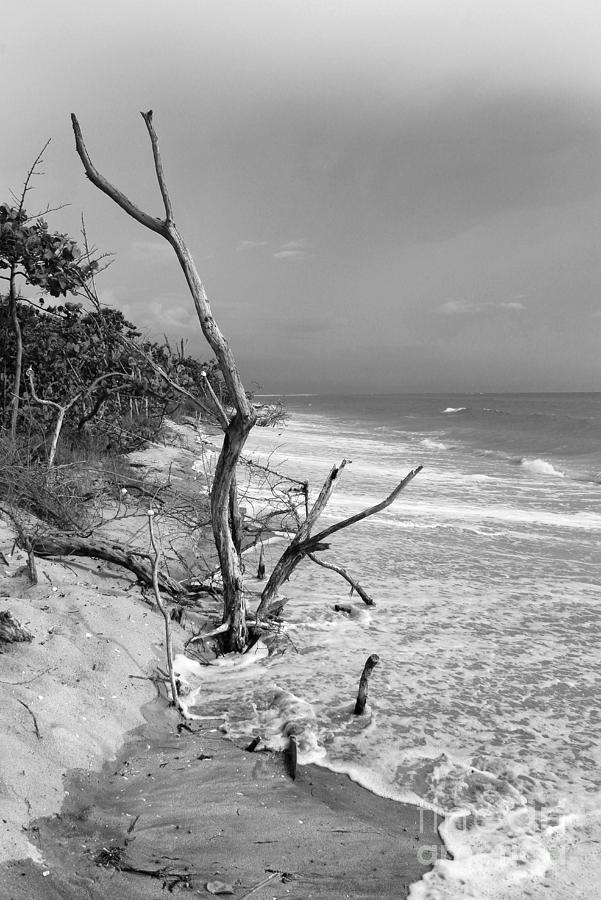 Erosion Photograph by Robert Wilder Jr