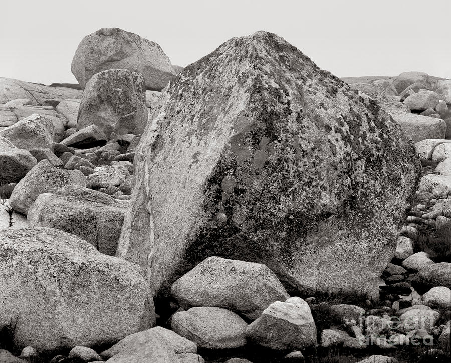 Erratic #28 Photograph by Lionel F Stevenson - Fine Art America