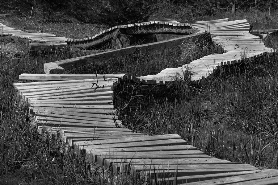 Erratic Journeys Photograph by Bethany Crawford - Fine Art America