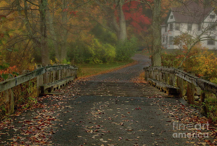 Fall Photograph - Errie feelin to the morning by Diana Nault Fall Photograph - Errie feelin to the morning by Diana Nault