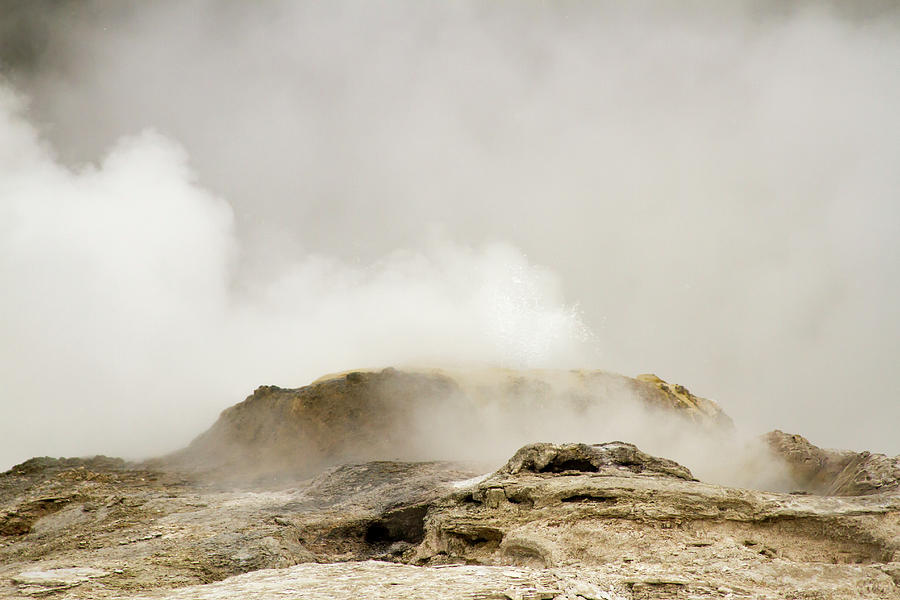 Erupting geyser in Upper Geyser Basin, Yellowstone National Park Photograph by Karen Foley