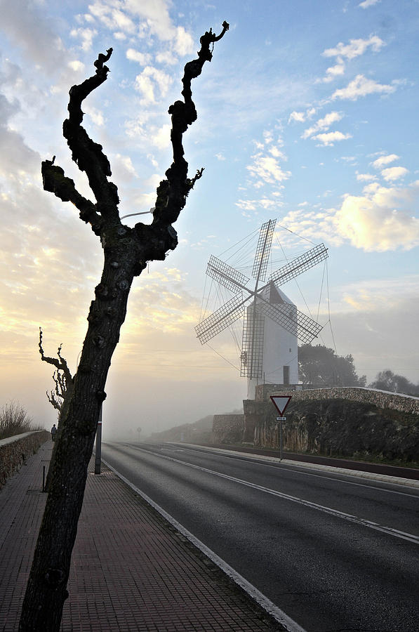Es Castell town Mill 3 in a foggy day Photograph by Pedro Cardona Llambias