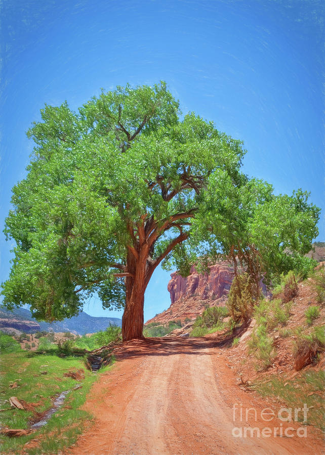 Escalante Canyon Archway Painting by Janice Pariza