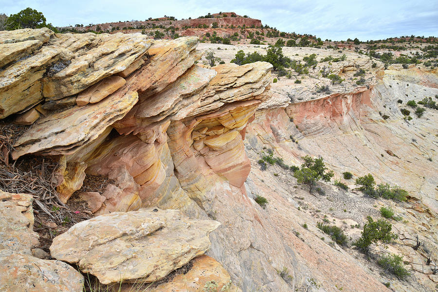Escalante Canyons Photograph by Ray Mathis