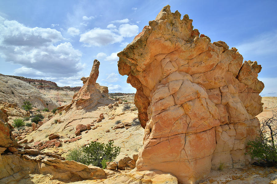 Escalante Monuments Photograph by Ray Mathis
