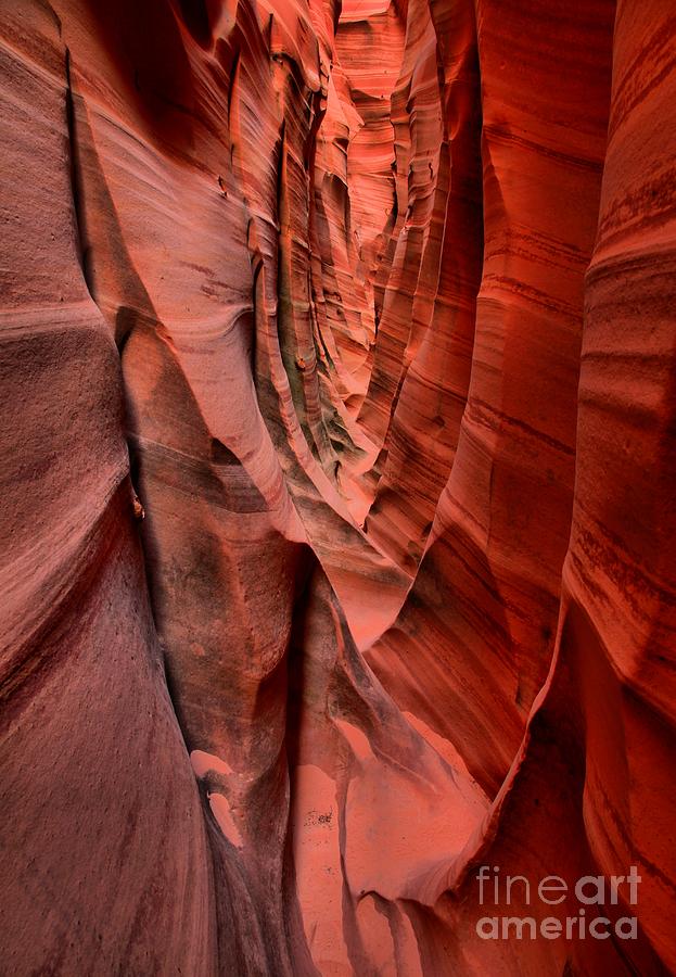 Escalante Red Slot Photograph by Adam Jewell