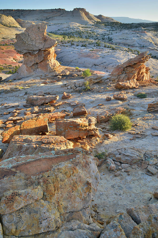 Escalante Rock Croppings Photograph by Ray Mathis