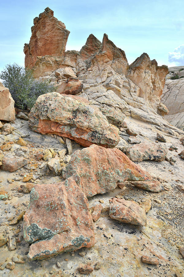 Escalante Rock Formations II Photograph by Ray Mathis