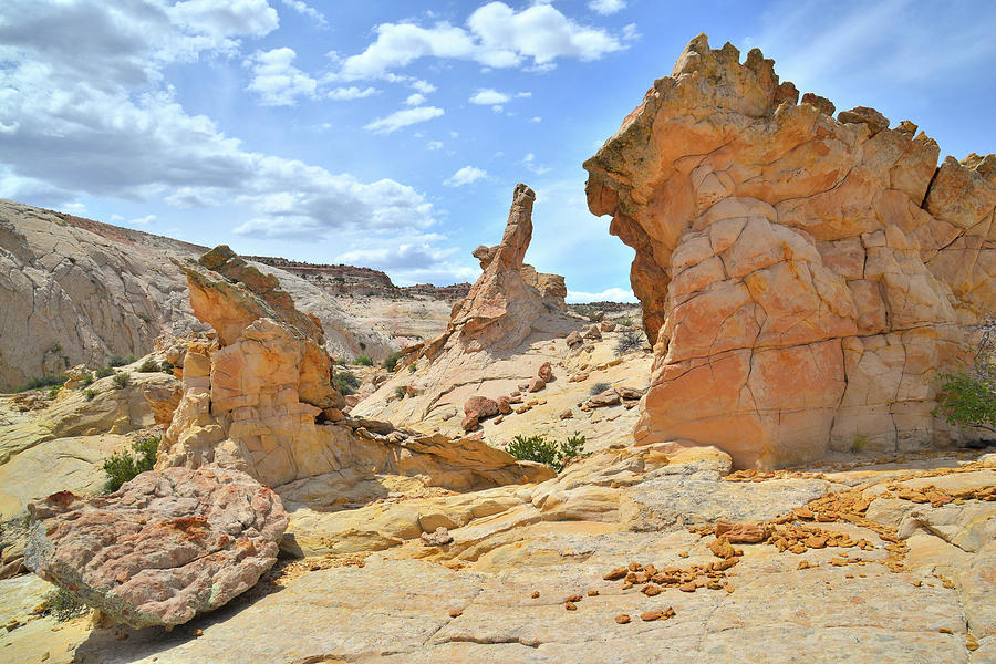 Escalante Rock Formations Photograph by Ray Mathis