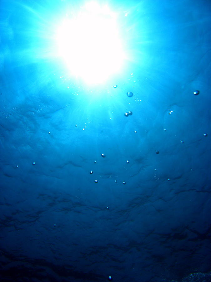 Underwater Photograph - Escaping Breath by Brad Scott