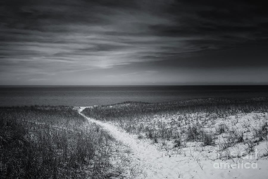 Black And White Photograph - Esch Beach Path Mono by Rachel Cohen