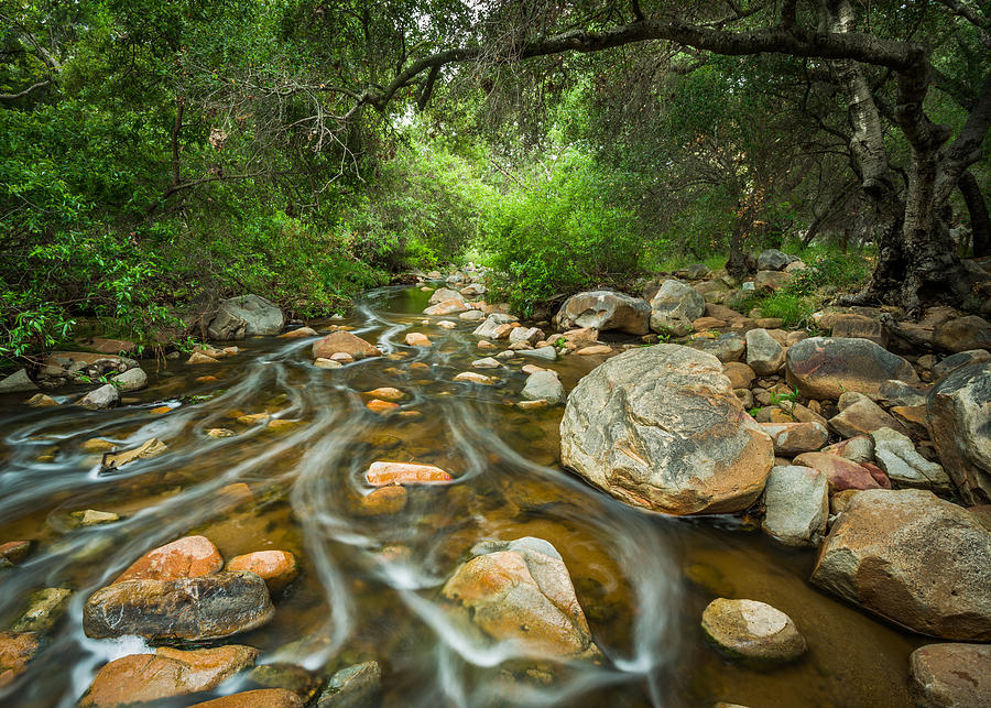 Escondido Creek 2 Photograph by Alexander Kunz