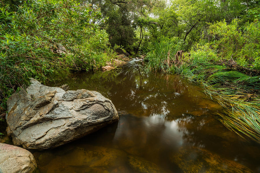 Escondido Creek 3 Photograph by Alexander Kunz