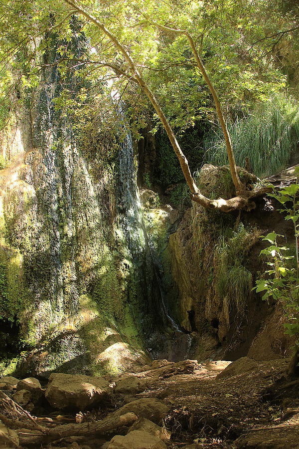 Escondido Falls In May Photograph by Viktor Savchenko