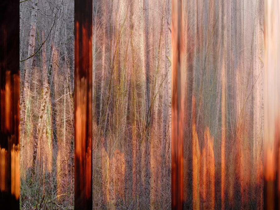 Abstract Photograph - Essay on Fire 3 by Lyn  Perry