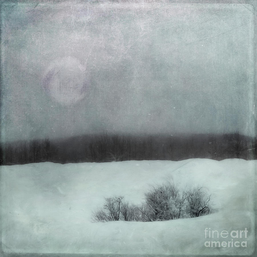 Winter Photograph - Essence of winter by Priska Wettstein