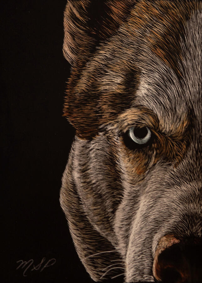 Essence of Wolf Eye Painting by Margaret Sarah Pardy