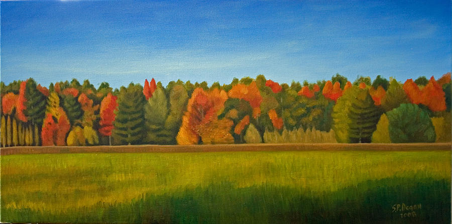Essex Junction Vermont Painting by Stephen Degan