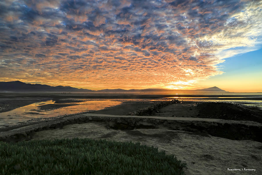 Estero Estuary, Baja Photograph By Pamela Weston - Fine Art America