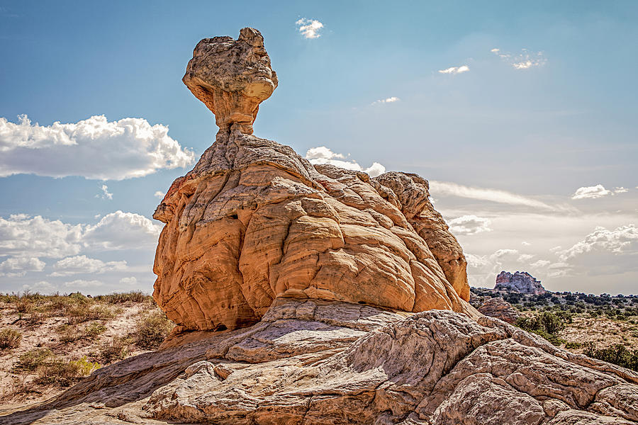ET Rock Formation Photograph by Teresa Wilson