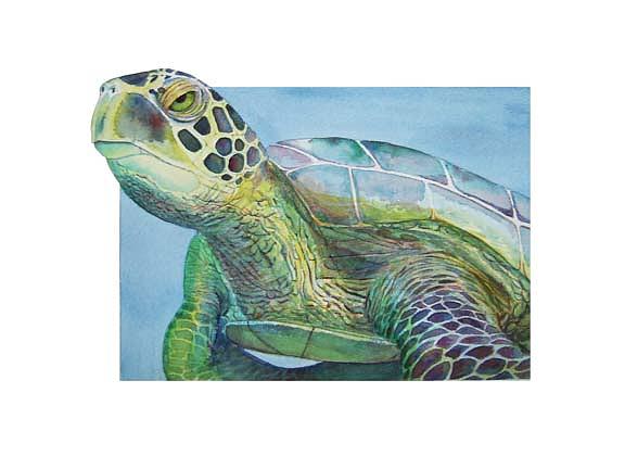 ET turtle Painting by Carmen Durden | Fine Art America