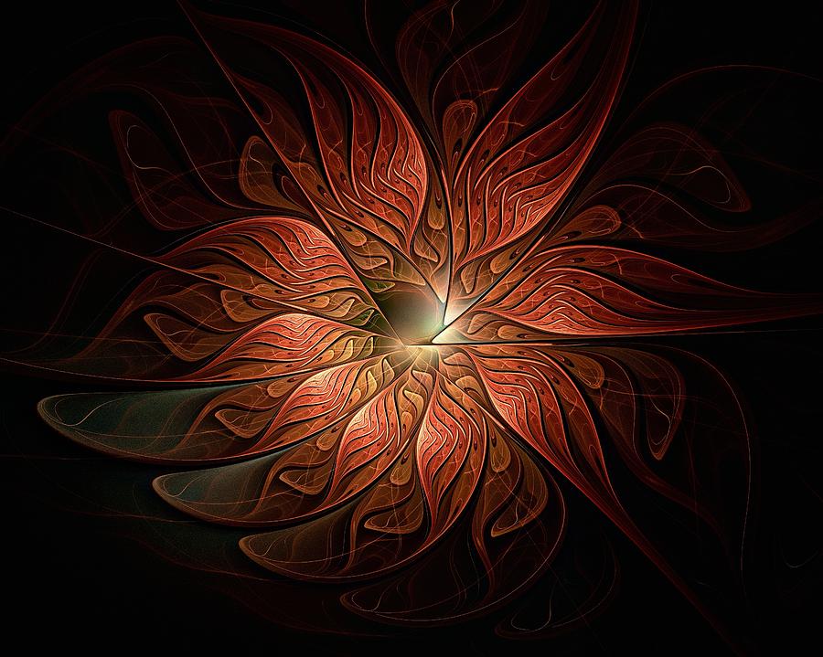 Etched Petals Digital Art by Amanda Moore