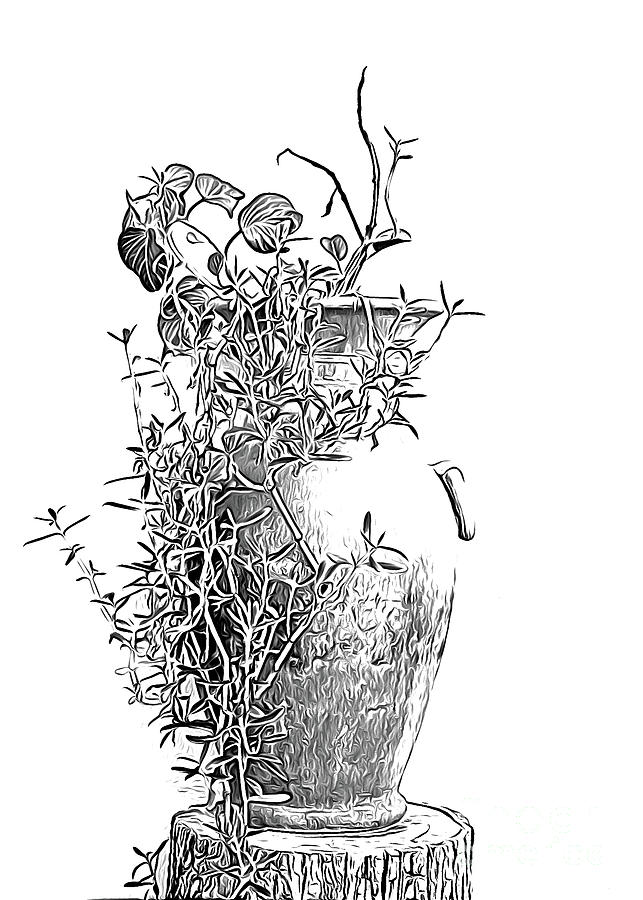 Etching of a Vine Photograph by Steve C Heckman