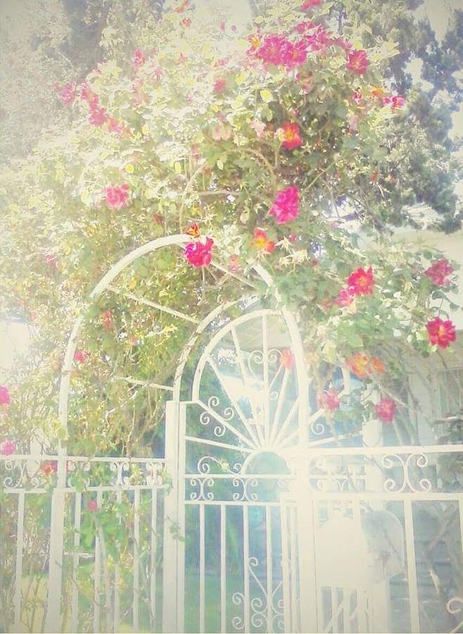 Eternal Photograph by Cepiatone Fine Art Callie E Austin Eternal Photograph by Cepiatone Fine Art Callie E Austin