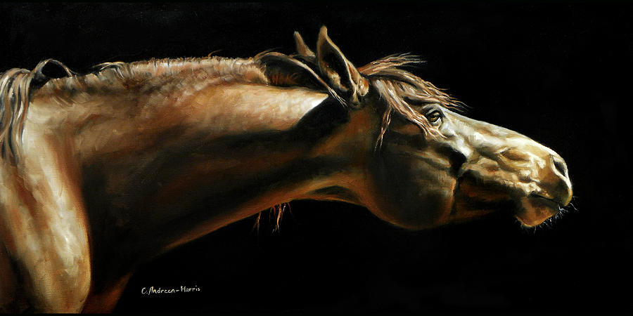 Equine Painting - Ethan by Carole Andreen