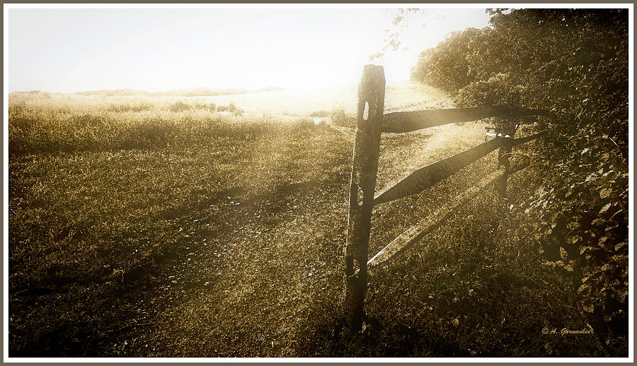 Ethereal Late Afternoon, Wooden Fence Along Rural Meadow Digital Art by A Macarthur Gurmankin