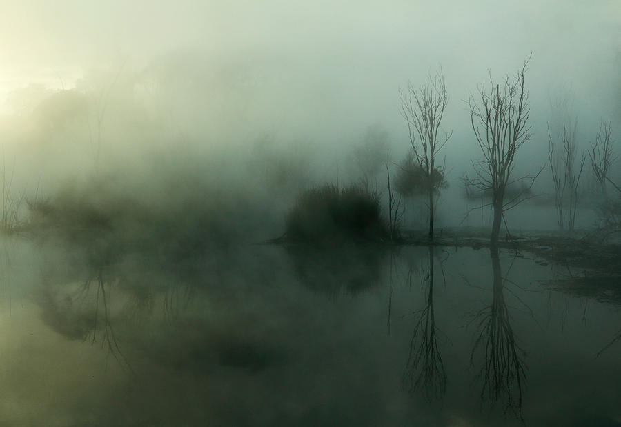 Ethereal Photograph by Nicholas Blackwell