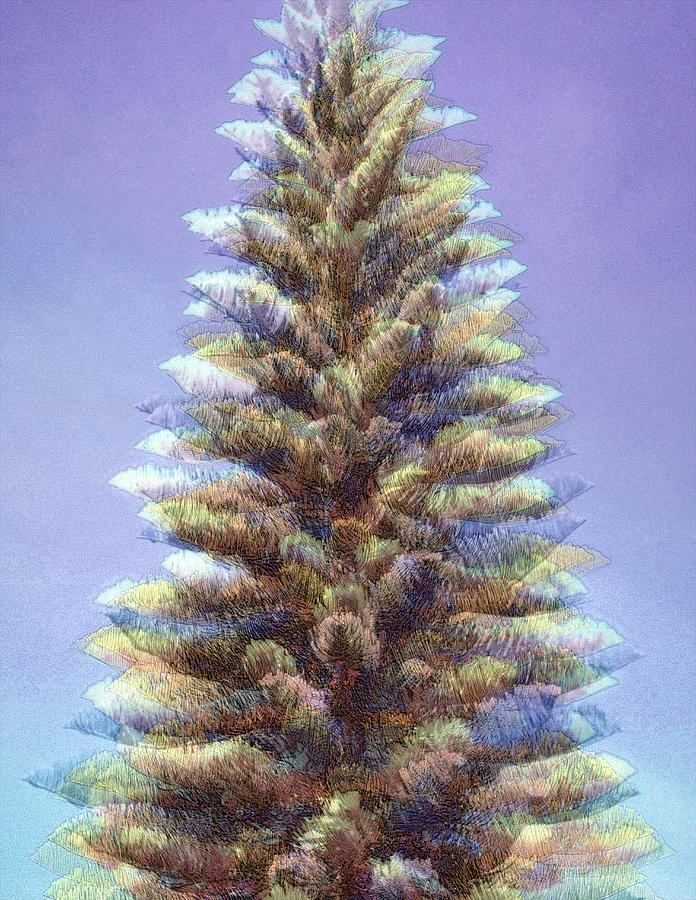 Ethereal Norfolk Pine Photograph by Jodie Marie Anne Richardson Traugott          aka jm-ART