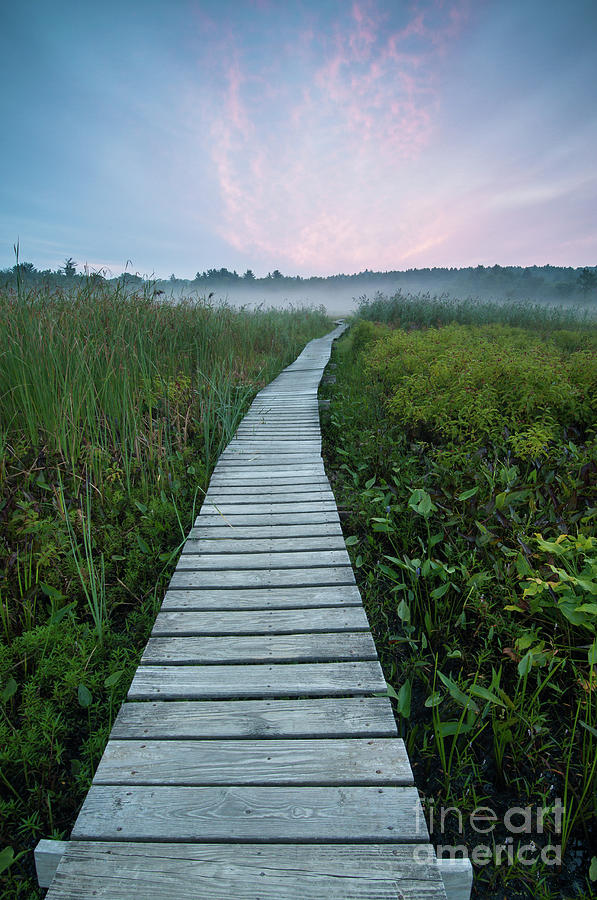 Ethereal Passage - Winding Boardwalk  Photograph by JG Coleman